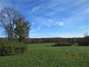 174 Acre Agricultural / Recreational Riverfront Property<br>SOLD!<br>174.00 Acres<br>Turin, NY<br>$274,900.00<br>
