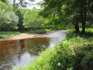 Magnificent Independence River <br>SOLD!<br>12.10 Acres<br>Greig , NY<br>$79,900.00<br>