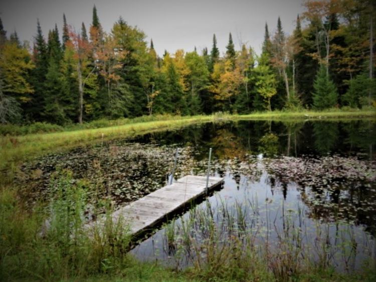 TUG HILL CABIN AND PRIVATE POND PARADISE SOLD! 10.00 Acres Town of Lewis, NY 62,900.00