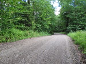 12.15 ACRES LOCATED IN THE HEART OF SOME OF THE BEST TUG HILL ATV & SNOWMOBILING TRAILS&nbsp;<br>SOLD!<br>12.15 Acres<br>Lewis, NY<br>$29,900.00<br>