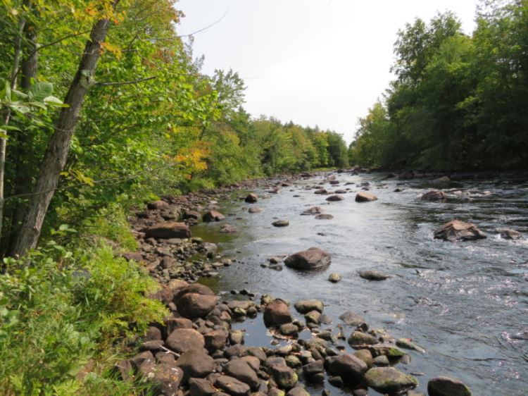 Over 570 feet of spectacular waterfrontage on the main branch of the of