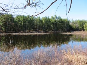 NEW PROPERTY 5.02 ACRES PITCAIRN, ST LAWRENCE COUNTY, NY<br>SOLD!<br>5.02 Acres<br>Pitcairn, NY<br>$27,900.00<br>