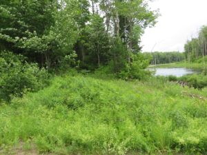 TUG HILL WATERFRONT
ATV/SNOWMOBILING PARADISE<br>SOLD!<br>7.46 Acres<br>West Leyden , NY<br>$31,900.00<br>