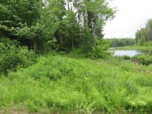 TUG HILL WATERFRONT
ATV/SNOWMOBILING PARADISE<br>SOLD!<br>7.46 Acres<br>West Leyden , NY<br>$31,900.00<br>