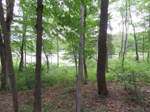 TUG HILL WILDLIFE POND PARADISE
 12.33 Acres in the Town of Lewis, Lewis County, NY<br>SOLD!<br>12.33 Acres<br>West Leyden , NY<br>$44,900.00<br>