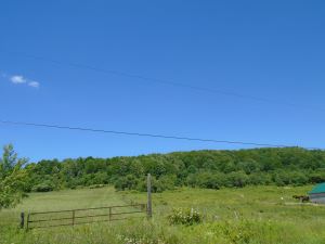 102 ACRES STEUBEN, ONEIDA COUNTY, NY<br>SOLD!<br>102.00 Acres<br>Remsen, NY<br>$100,000.00<br>