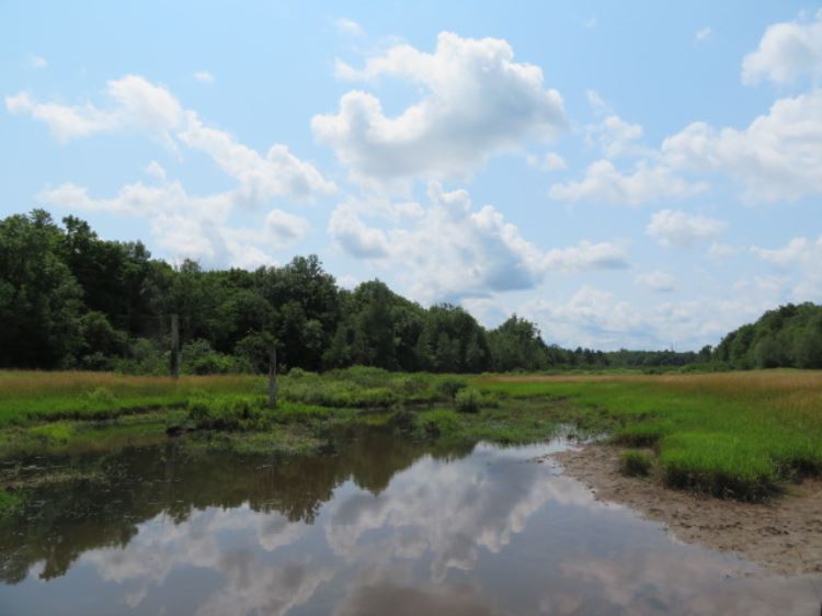 UNBELIEVABLE ADIRONDACK TROPHY WHITETAIL DEER HUNTING60.2 Acres Hermon, St. Lawrence County, NY