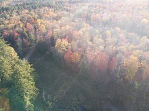 IDEAL ADIRONDACK HUNTING OR VACATION PROPERTY
 
 <br>SOLD!<br>3.00 Acres<br>Pitcairn, NY<br>$29,900.00<br>