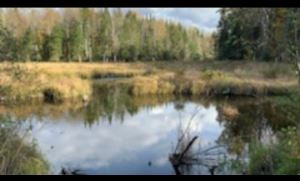 ADIRONDACK ACREAGE
186.8 ACRES GREIG, LEWIS COUNTY, NY<br>SOLD!<br>186.80 Acres<br>Greig, NY<br>$179,000.00<br>