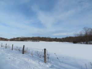 BEAUTIFUL ADIRONDACK FARMLAND AND WATERFRONT
125.5 ACRES HERMON, ST. LAWRENCE COUNTY, NY<br>SOLD!<br>125.50 Acres<br>Hermon, NY<br>$169,900.00<br>