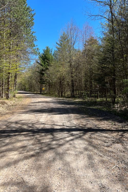 3 ACRES WATSON, LEWIS COUNTY, NYWALK TO THE BEAUTIFUL INDEPENDENCE
