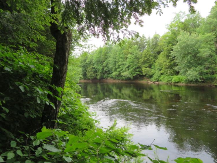 ADIRONDACK WATERFRONT WITH COTTAGE6.2 ACRES PITCAIRN, ST LAWRENCE