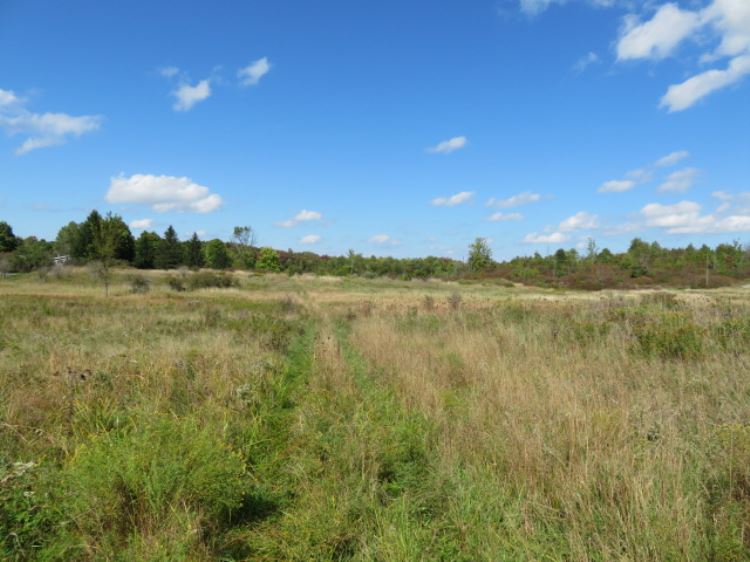 TROPHY BIG GAME HUNTING IN JEFFERSON COUNTY, NY20.63 ACRES ANTWERP