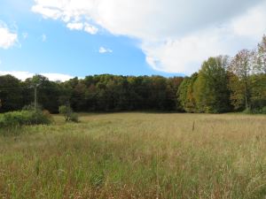 BEST LOCATION FOR THAT ADIRONDACK/TUG HILL PROPERTY
LOCATED ONLY MINUTES AWAY FROM THE MAIN CORRIDOR TRAIL SYSTEM FOR ATVS AND SNOWMOBILES<br>SOLD!<br>10.30 Acres<br>Turin, NY<br>$59,900.00<br> BEST LOCATION FOR THAT ADIRONDACK/TUG HILL PROPERTY
LOCATED ONLY MINUTES AWAY FROM THE MAIN CORRIDOR TRAIL SYSTEM FOR ATVS AND SNOWMOBILES<br>SOLD!<br>10.30 Acres<br>Turin, NY<br>$59,900.00<br>
