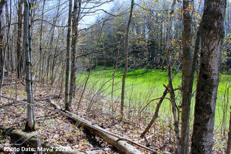 30 ACRES HERMON, ST. LAWRENCE COUNTY, NY SOLD! 30.00 Acres Hermon, NY