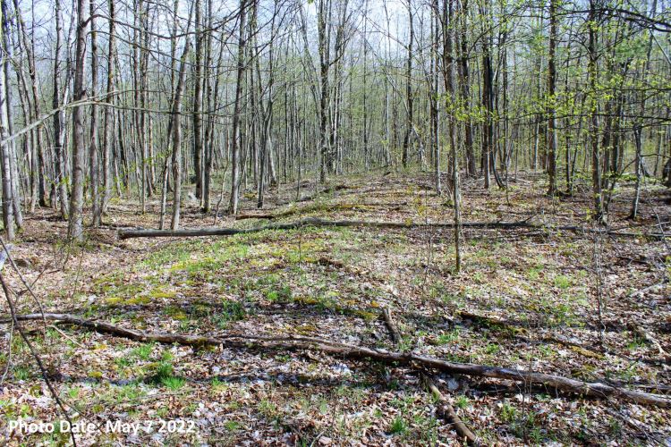 30 ACRES HERMON, ST. LAWRENCE COUNTY, NY SOLD! 30.00 Acres Hermon, NY