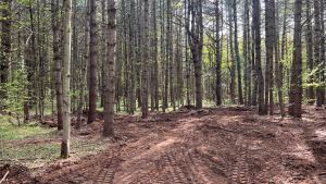 4.48 ACRES WATSON, LEWIS COUNTY, NY<br>SOLD!<br>4.48 Acres<br>WATSON, NY<br>$25,900.00<br>