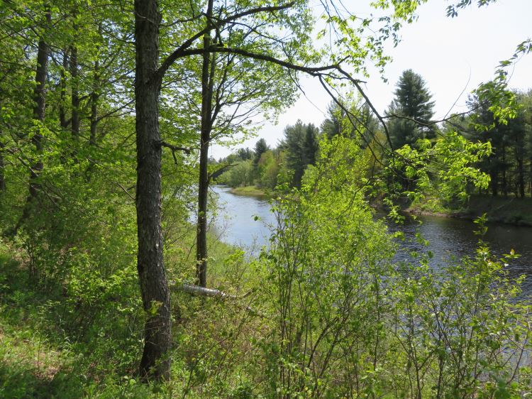 BREATHTAKING ADIRONDACK RIVER FRONTAGE14.10 ACRES EDWARDS, ST LAWRENCE