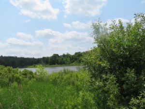  NEW!<br>9.94 Acres<br>Hammond, NY<br>$41,900.00<br>