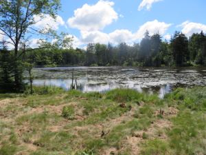 TUG HILL WATERFRONT
11.2 Acres West Turin, Lewis County, NY
<br>SOLD!<br>11.20 Acres<br>Constableville, NY<br>$69,900.00<br> TUG HILL WATERFRONT
11.2 Acres West Turin, Lewis County, NY
<br>SOLD!<br>11.20 Acres<br>Constableville, NY<br>$69,900.00<br>