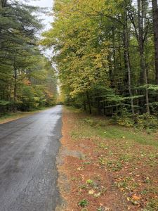 SOUTHERN ADIRONDACK PARADISE<br>SALE PENDING!<br>11.08 Acres<br>Ohio, NY<br>$49,900.00<br> SOUTHERN ADIRONDACK PARADISE<br>SALE PENDING!<br>11.08 Acres<br>Ohio, NY<br>$49,900.00<br>